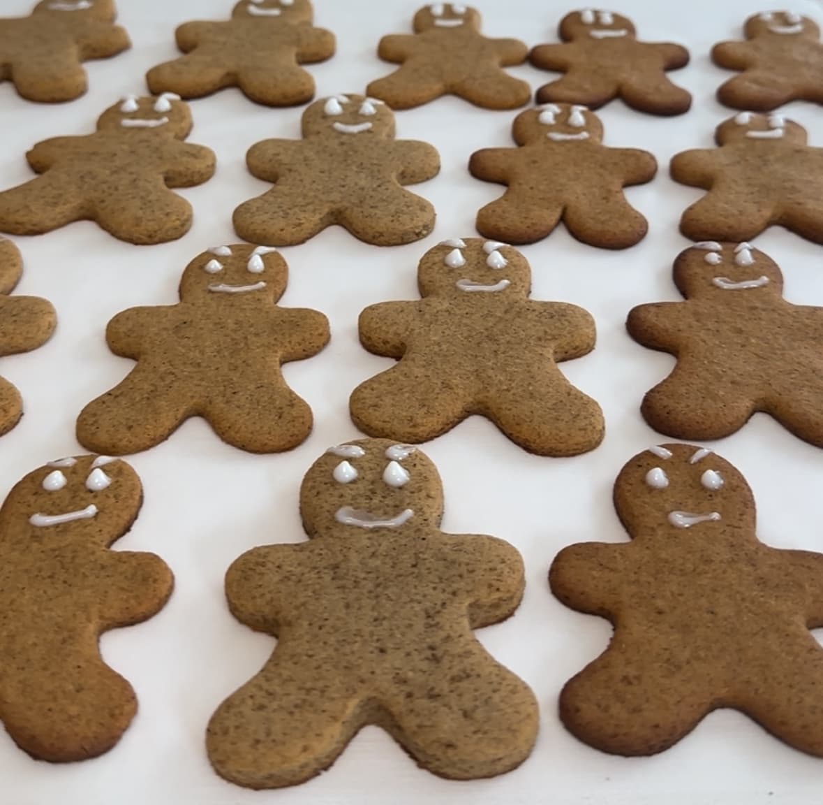 High Protein Gingerbread Cookies
